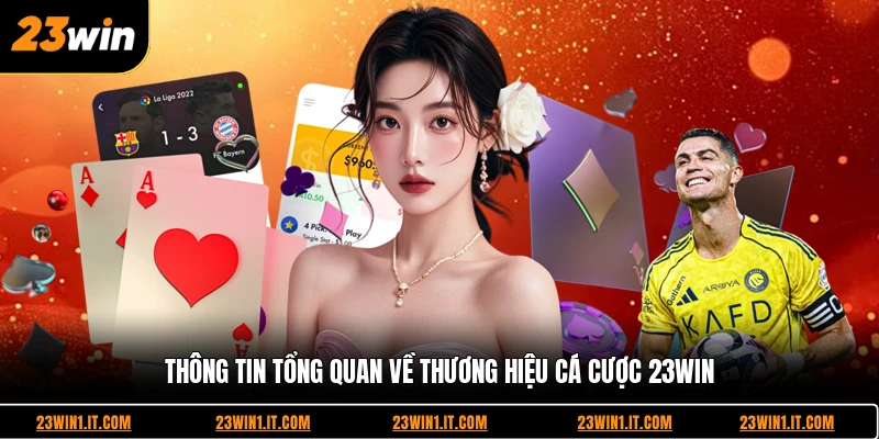 Thông tin tổng quan về thương hiệu cá cược 23WIN